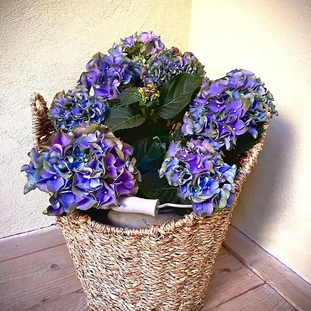 Dobre Casy - Rodinny Iii. Апартаменты *