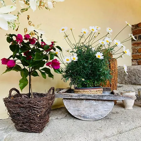 Апартаменты Dobre Casy - Rodinny Iii.